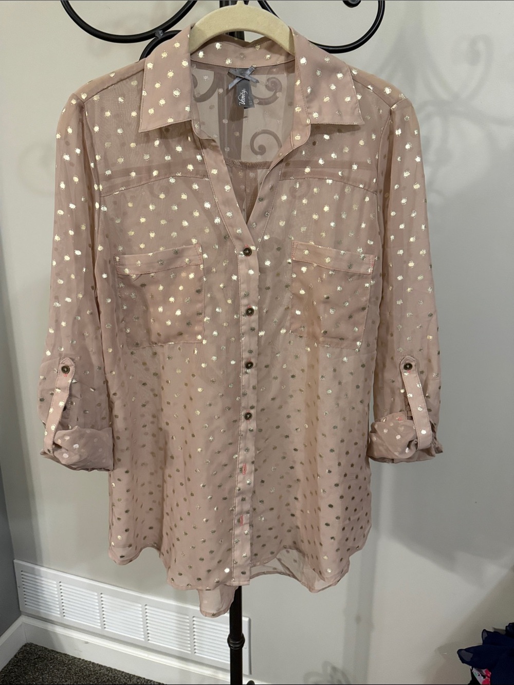 Vanity Blush Sheer Blouse with Gold Dot Accents
